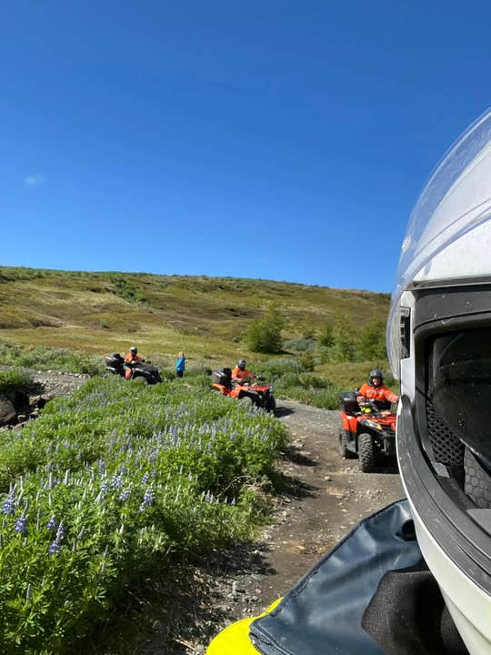 Aventure en quad tout-terrain en cours, alors que des pilotes parcourent un sentier accidenté d’Islande, bordé de lupins et de collines couvertes de mousse, sous un ciel bleu.