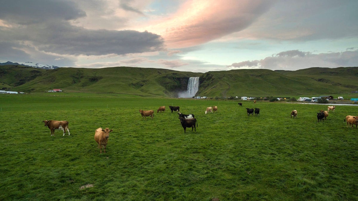 Eclipse Solaire Totale de 2026 en Islande Guide to Iceland