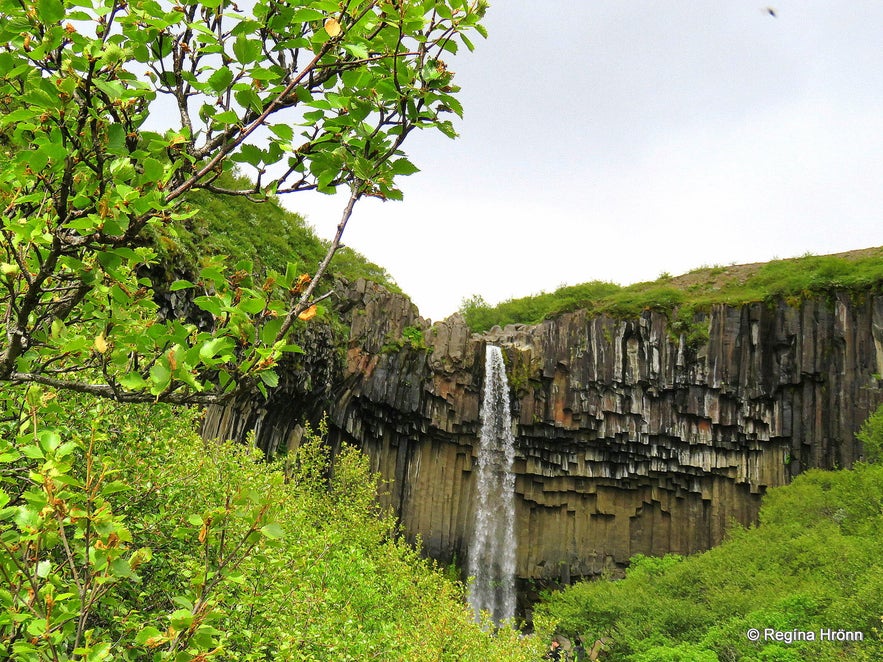 Svartifoss &amp; other beautiful Attractions in Skaftafell in South-Iceland