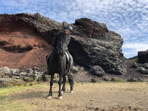 Top-Rated Horse Riding Tour with Optional Pickup from Reykjavik