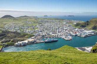 Private Westman Islands Tour with a Volcano Hike and Boat Trip from Reykjavik