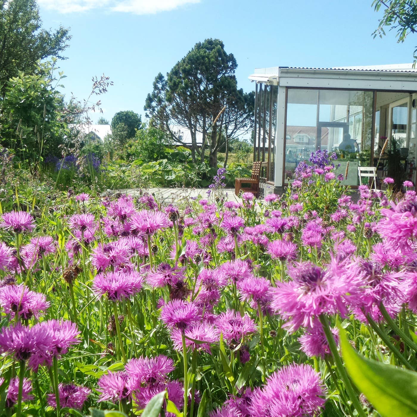 艾文达尔霍尔特旅馆 | Eyvindarholt Guesthouse