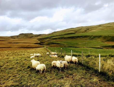 Exceptional 10-Hour South Coast Private Tour with Optional Activities and Transfer from Reykjavik