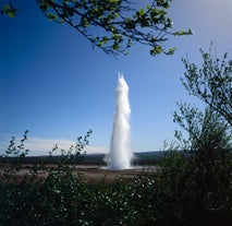 The Great Geysir shoots water up into the sky on a sunny day.