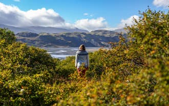 Woman in Icelandic sweater stands among green shrubs, admiring Thorsmork Valley’s glacial rivers and rugged mountains under blue skies.