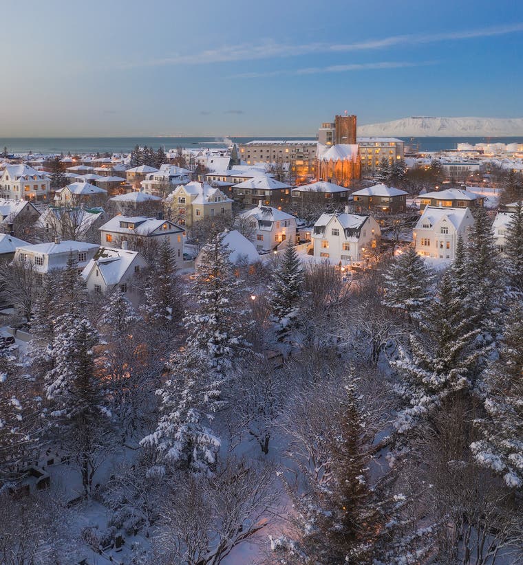 Christmas & New Year's Packages