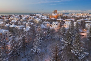 Christmas & New Year's Packages