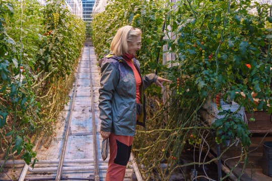 Excursión por el Círculo Dorado con Cráter Kerid y Granja Fridheimar