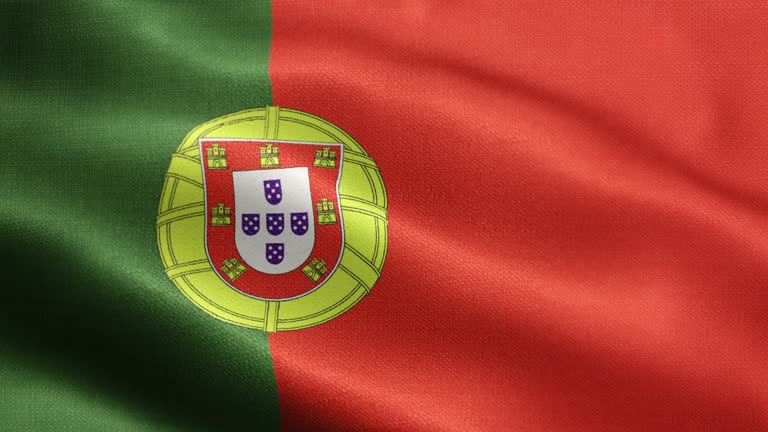 702 Portuguese Flag Stock Videos, Footage, & 4K Video Clips - Getty Images  | Portuguese flag icon