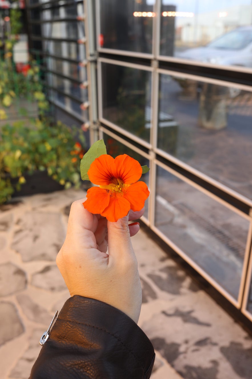 Lets talk about S&oacute;l Restaurant?