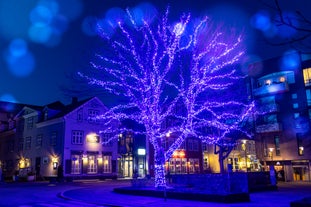 A tree lit up with many lights during the festive season in Reykjavik.