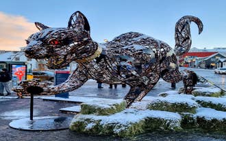 Katteskulptur i Reykjavik