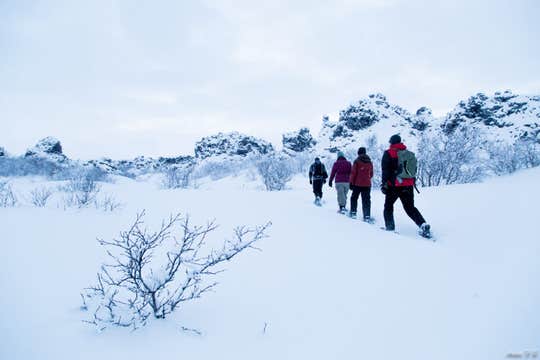 Exciting 4 Hour Snowshoe Tour of Lake Myvatn from Akureyri