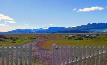 Pensjonat Raudaberg II otoczony jest dzikimi kwiatami.