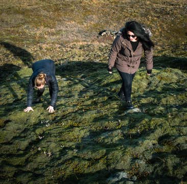 Small-Group Highlands Tour from Reykjavik