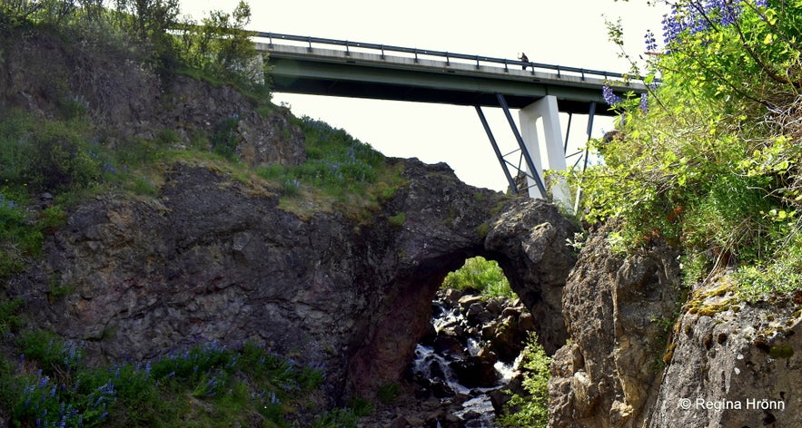 Hallormsstaðaskógur Forest in East-Iceland - Iceland's largest Forest