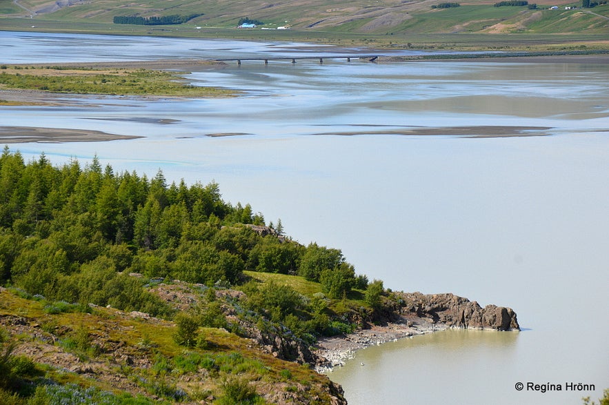 Hallormsstaðaskógur Forest in East-Iceland - Iceland's largest Forest