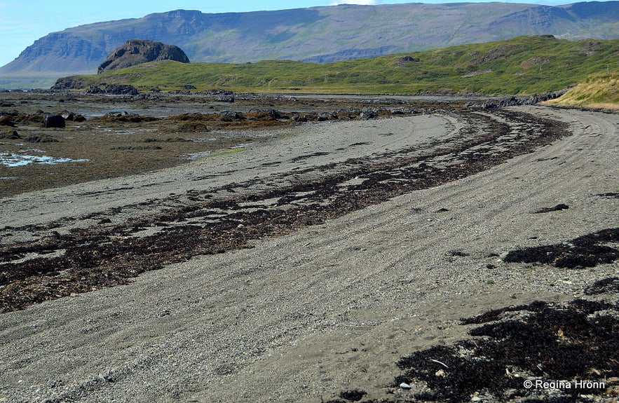 Bjartmarssteinn Rock in the Westfjords Region of Iceland - the Market Town of the Elves