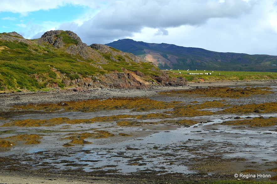 Bjartmarssteinn Rock in the Westfjords Region of Iceland - the Market Town of the Elves