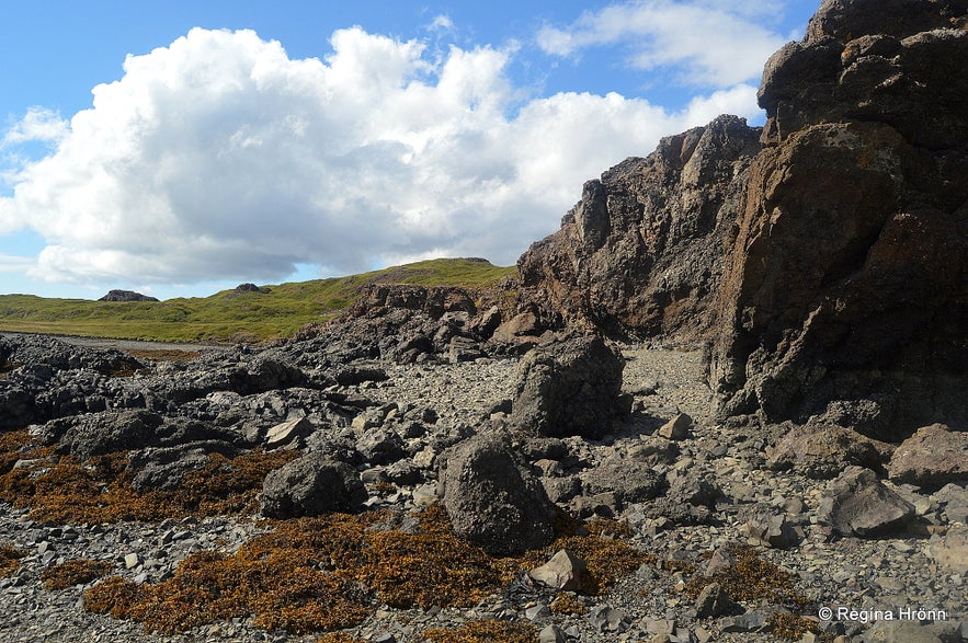 Bjartmarssteinn Rock in the Westfjords Region of Iceland - the Market Town of the Elves