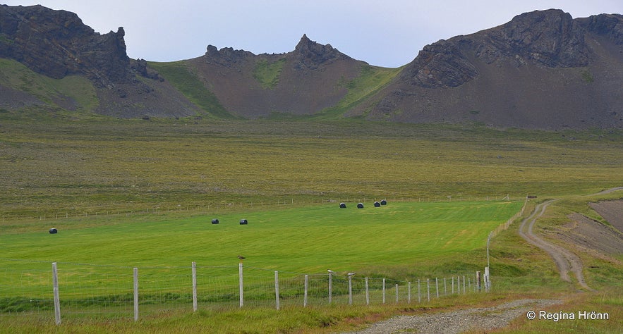 Bjartmarssteinn Rock in the Westfjords Region of Iceland - the Market Town of the Elves