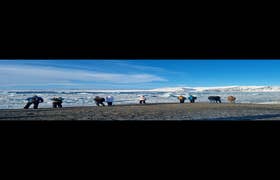 Private South Coast Tour to Jokulsarlon Glacier Lagoon from Reykjavik