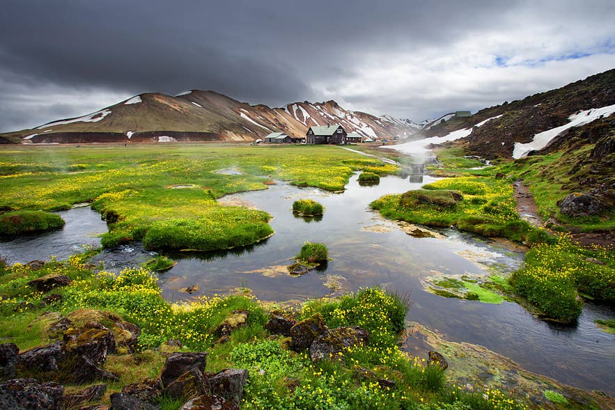 Green geothermal streams in Landmannalaugar Green geothermal streams in Landmannalaugar