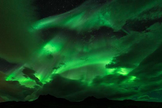 Incredibile crociera di 2 ore per ammirare l'aurora boreale con prelievo da Reykjavik