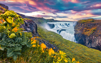 Tramonto sulla cascata di Gullfoss in Islanda, con fiori selvatici e verde intenso, lungo il percorso panoramico del Circolo d'Oro.