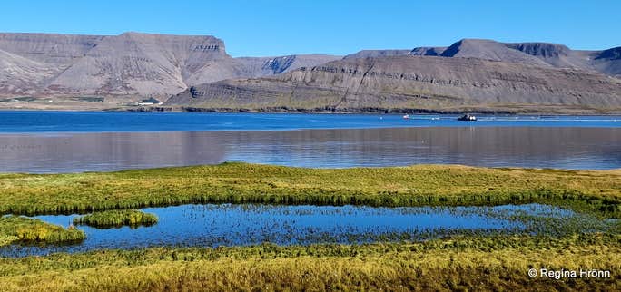 The Saga Locations of Gísli the Outlaw Súrsson in the Westfjords of Iceland