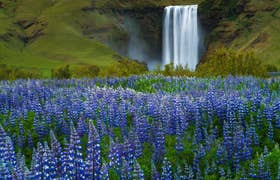 One Week Summer Self-Drive Tour of Iceland’s West & South Coasts with Waterfalls & Glaciers