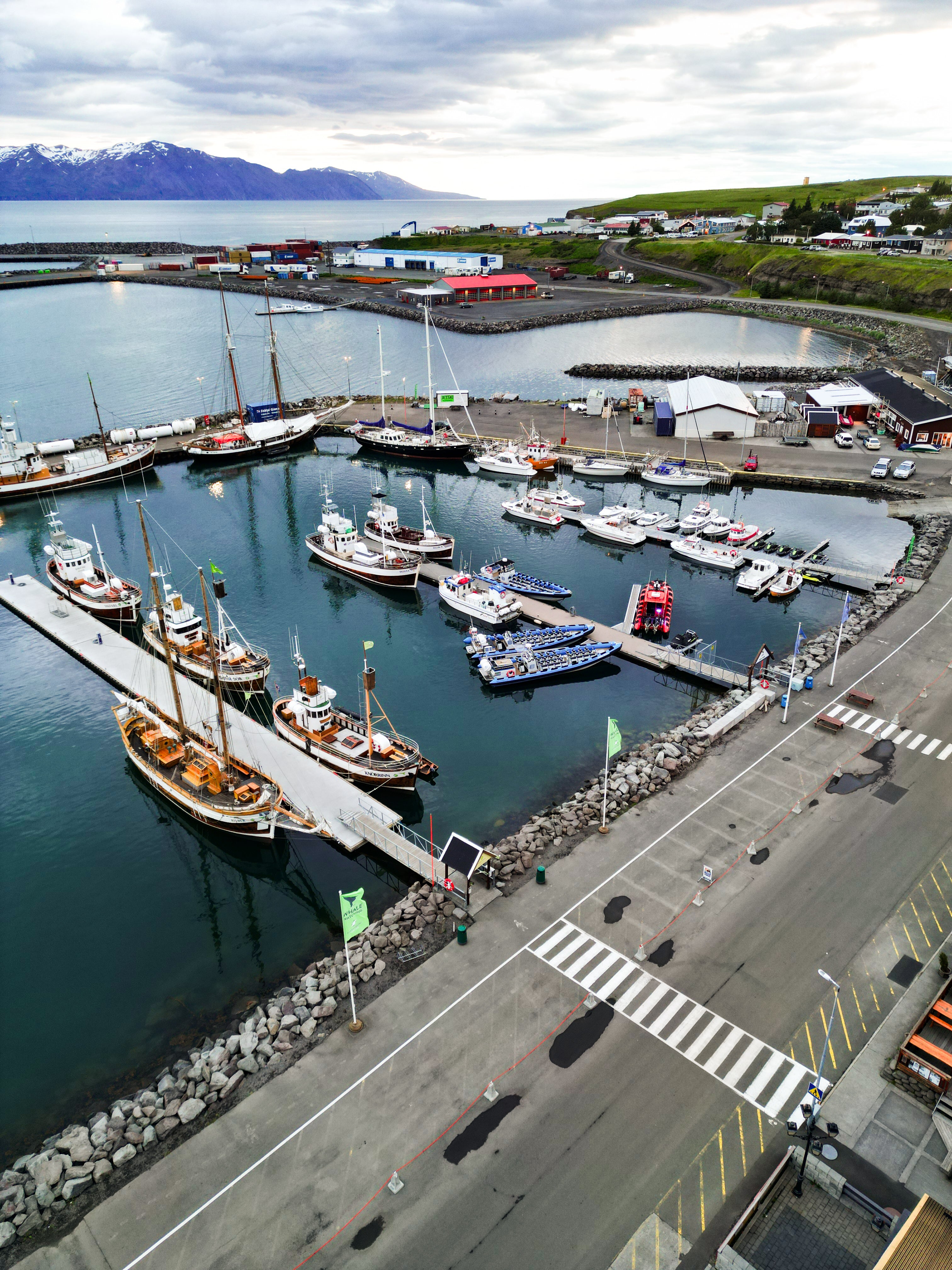 Experience the magic of Whale Watching with Northsailing - where breathtaking encounters with gentle giants await!