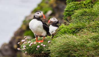 Vacanza in autonomia, 6 giorni con Circolo d'Oro, Laguna Blu e la laguna glaciale Jokulsarlon