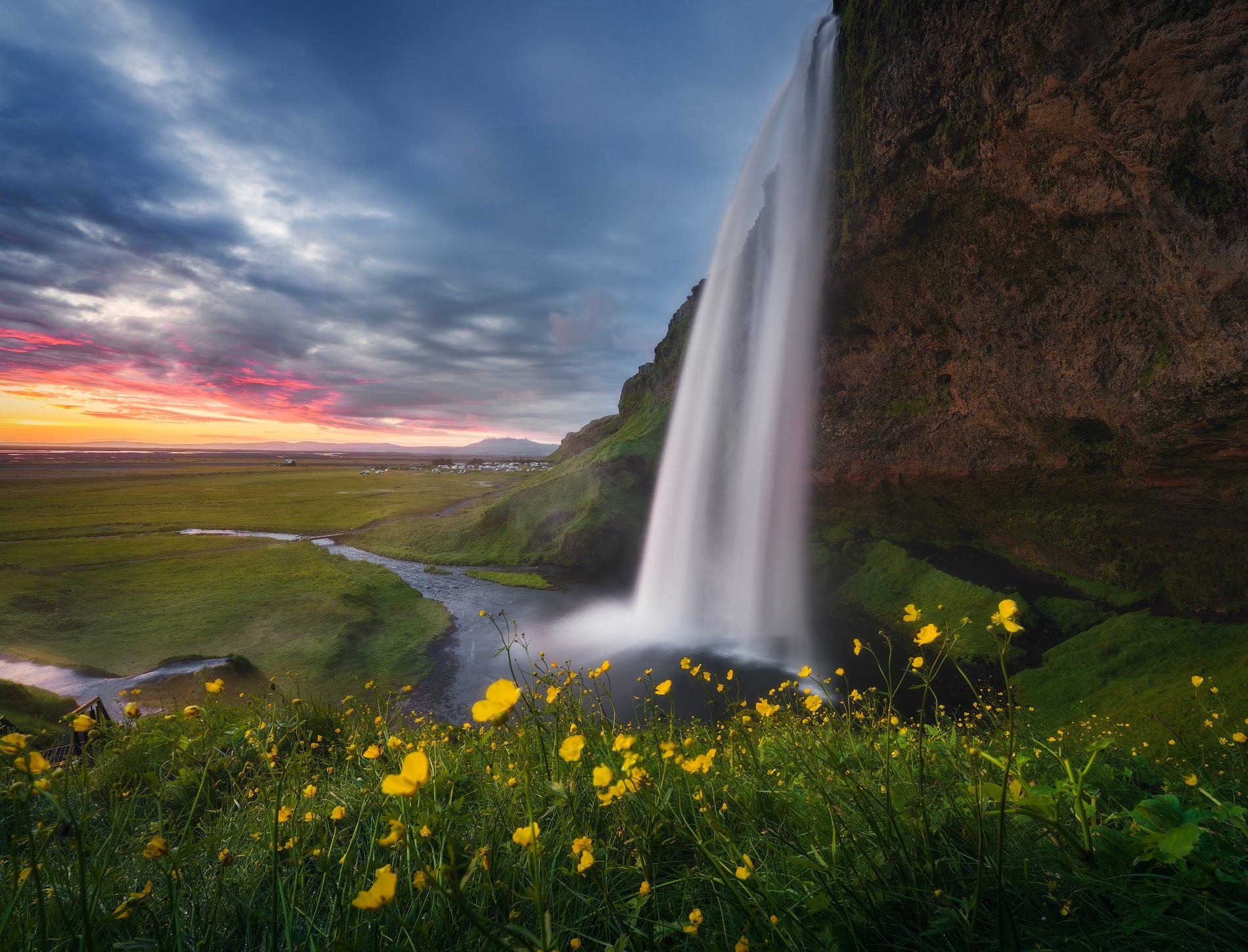 Seljalandsfoss-vandfaldet i Island falder ned over en klippe ved solnedgang, omgivet af grønne marker og gule blomster.