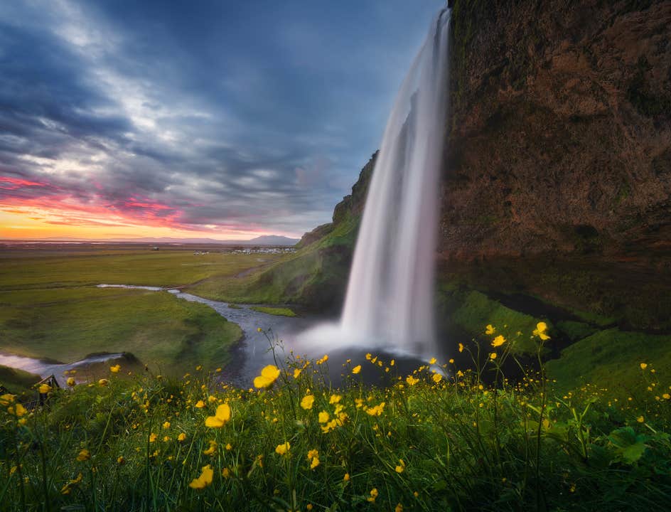 La chute d'eau de Seljalandsfoss en Islande se jette d'une falaise au coucher du soleil, entourée de champs verts et de fleurs jaunes.