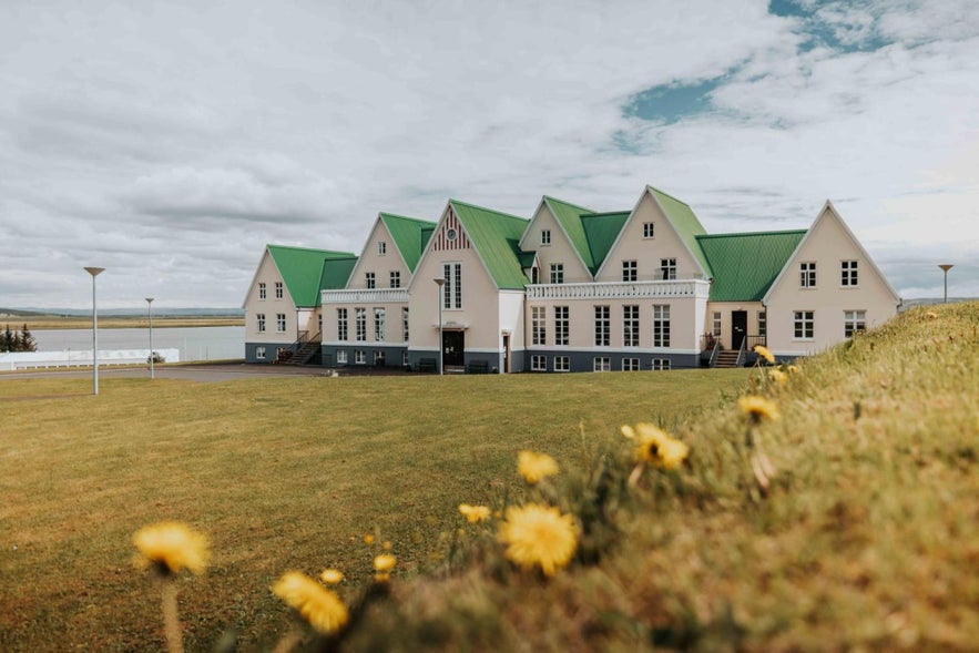 Heradsskolinn Historic Guesthouse in South Iceland, white with green roofs, dandelions in front, and a cloudy sky backdrop.