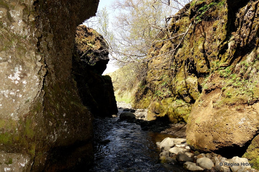 The Mystical Nauthúsagil Ravine in South Iceland &amp; its beautiful Waterfalls