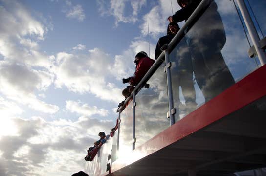 Classic 3-Hour Whale Watching Adventure from Reykjavik
