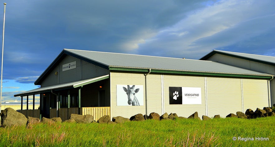 The lovely Stokkseyri Village in South Iceland - the Home of the Wildlife Museum, Turf Houses and Kayaking