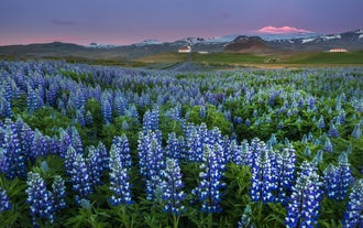Road Trip de 7 jours Petit Budget sur la Péninsule de Snaefellsnes et la Côte Sud de l'Islande