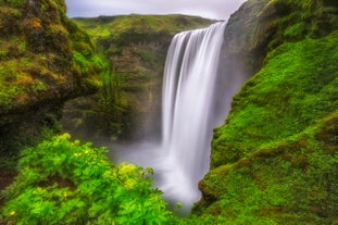 La cascata di Skogafoss è ricoperta di muschio verde vibrante durante l'estate e circondata da una vegetazione lussureggiante.