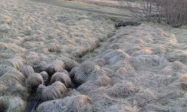 Piles of hays in Ellidaardalur Valley in Reykjavik, Iceland.