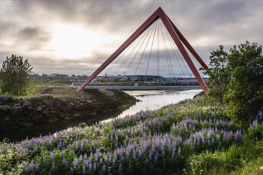 A pedestrian and cycling bridge over the Ellidaa River in Ellidaardalur Valley in Reykjavik, Iceland.
