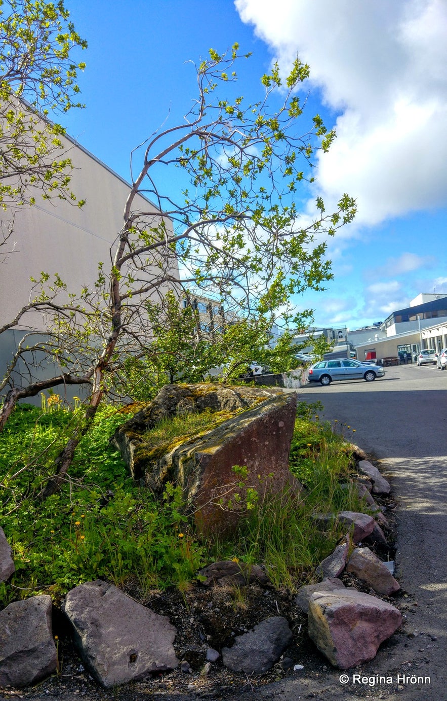 Huldumannssteinn í Reykjavík - The Elf Rock in Reykjavík, the Capital City of Iceland