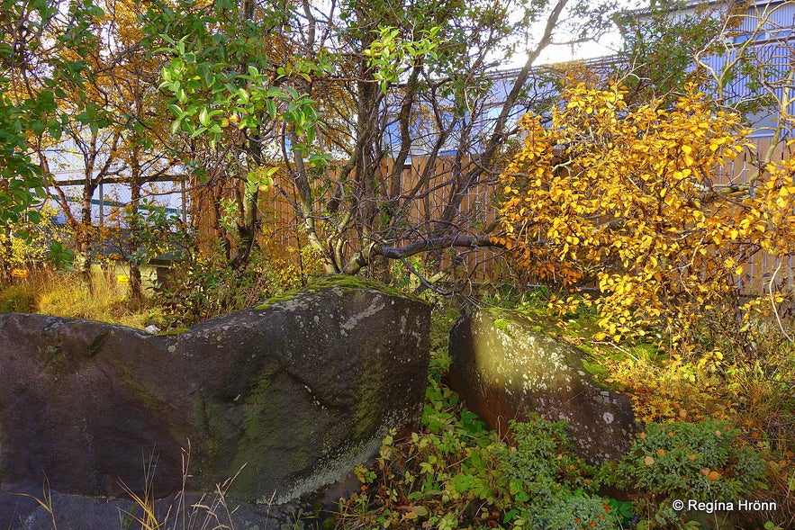 Huldumannssteinn í Reykjavík - The Elf Rock in Reykjavík, the Capital City of Iceland