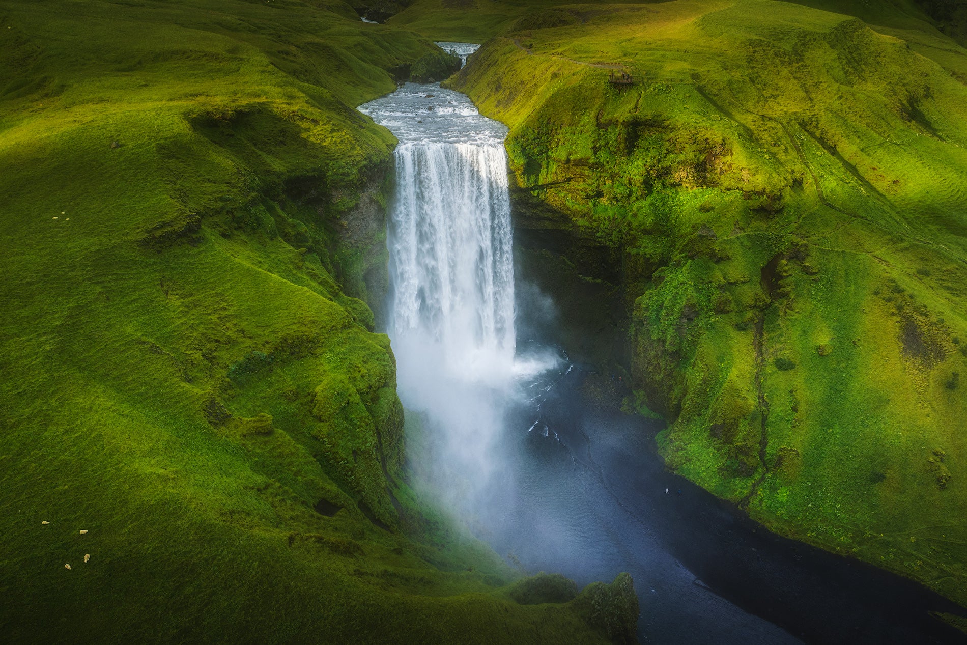 La chute d'eau de Skogafoss plonge sur une falaise recouverte de mousse en Islande, créant une brume et un puissant courant dans un canyon verdoyant.