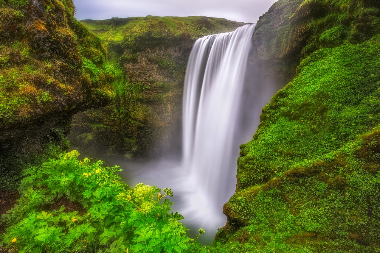 Skogafoss-vandfaldet styrter ned over en mosbegroet klippe og ned i et tåget bassin på Island sydkyst.