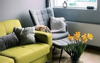 Contemporary living space featuring a lime green sofa, gray armchair, and yellow daffodils at TB24 Apartments.
