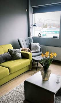 阿克雷里TB24公寓标志阁楼房（The Signature Loft by Akureyri TB24 Apartments）
