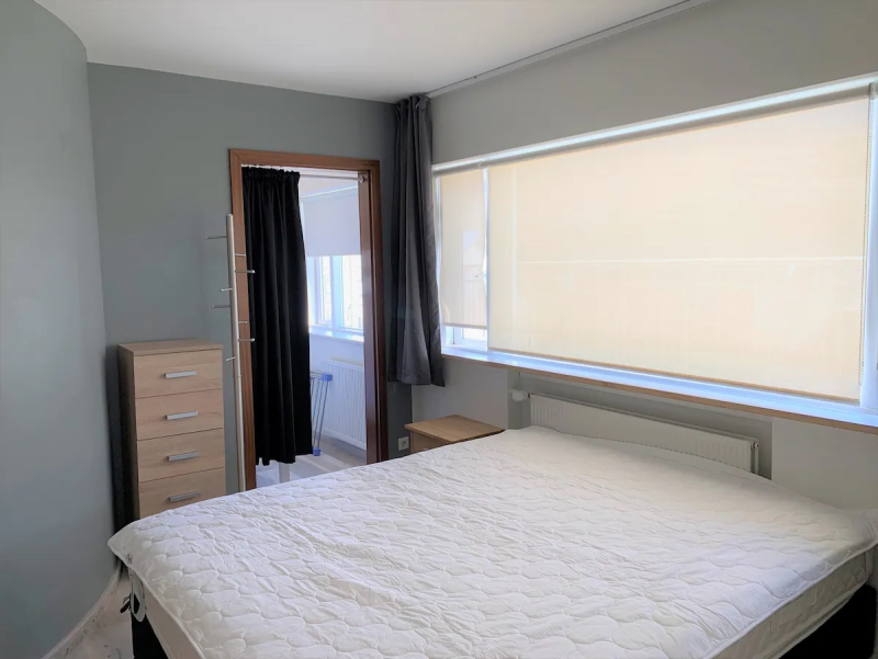 阿克雷里市中心景观公寓（Akureyri Downtown Apartment With a View）